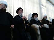 क्रांति के सर्वोच्च नेता सय्यद अल-शोहदा (अ) के मार्ग पर चल रहे हैं