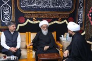 ہندوستانی سفارتخانے کے وفد کی مرجع تقلید آیت اللہ العظمٰی بشیر حسین نجفی سے ملاقات