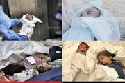 इस्राइली सेना ने एक महीने में गाज़ा में एक हज़ार से ज़्यादा बच्चों को मार डाला।इस्राइली अखबार