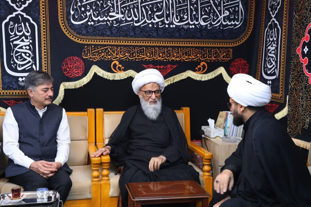 ہندوستانی سفارتخانے کے وفد کی مرجع تقلید آیت اللہ العظمٰی بشیر حسین نجفی سے ملاقات