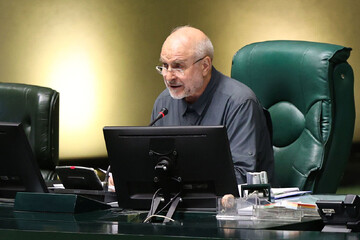 رئیس مجلس: هرگونه تحرک جدید در زمینه آژانس باید بر مبنای قانون انجام شود