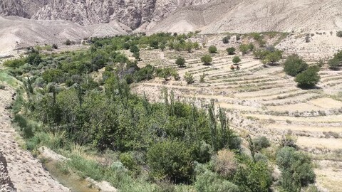 تصاویر| اردوی یک روزه طلاب حوزه علمیه ثامن الائمه حاجی آباد