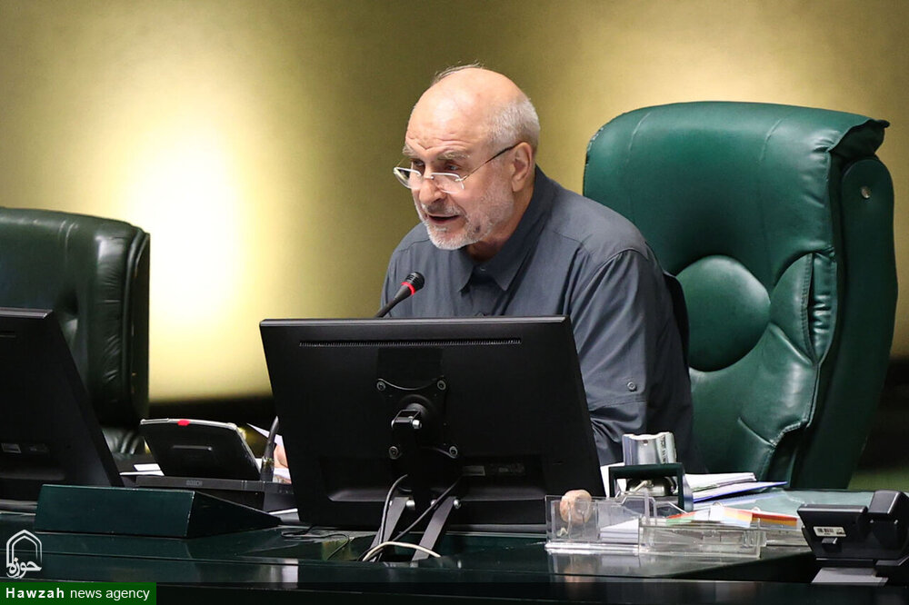 رئیس مجلس: هرگونه تحرک جدید در زمینه آژانس باید بر مبنای قانون انجام شود