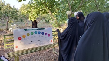 اردوی علمی اساتید پژوهش‌محور سطح ۲ و گرایشی جامعه الزهرا (س) برگزار شد