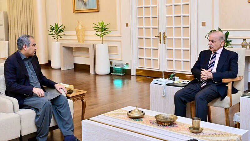 وزیراعظم پاکستان سے محسن نقوی کی ملاقات / زائرین سے متعلق نئی پالیسی پر بریفنگ