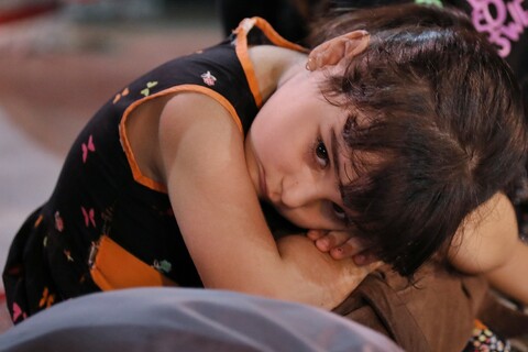 تصاویر/ بزرگترین سفره جهاتی حضرت رقیه (س)