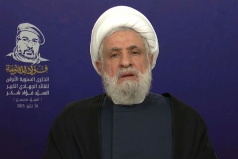 ہم ہتھیار نہیں ڈالیں گے اور نہ ہی کسی کے حوالے کریں گے: نعیم قاسم