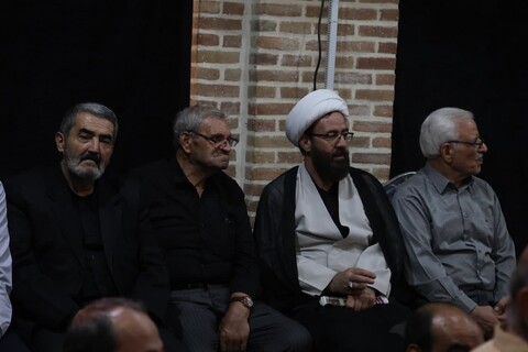 تصاویر /  دوازدهمین سالروز درگذشت آیت الله محسن محقق: