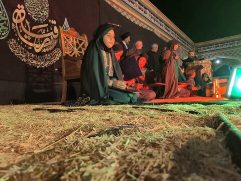 تصاویر/مجمع جهانی خادمان حضرت رقیه (س) در صحن حضرت سلطانعلی ابن امام محمد باقر(ع)