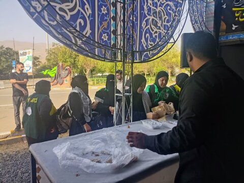 تصاویر/ تردد زائرین اربعین حسینی علیه‌السلام از پایانه مرزی تمرچین