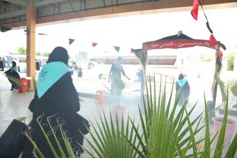 جامعۃ الزہرا(س) کی طالبات و اساتذہ، اربعین حسینی میں شرکت کے لیے عراق روانہ