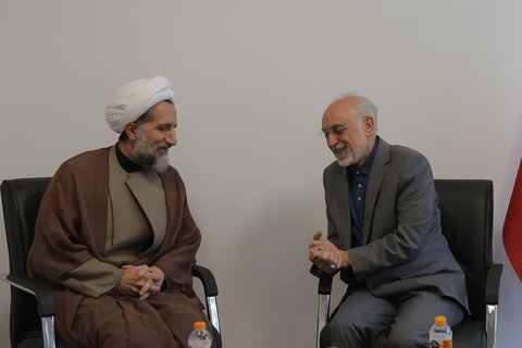 تصاویر / دیدار  رئیس بنیاد ایران‌شناسی با نماینده ولی فقیه در استان قزوین