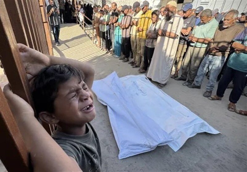 গাজায় মানবিক বিপর্যয় রোধে আন্তর্জাতিক সম্প্রদায়ের কার্যকর পদক্ষেপ প্রয়োজন: ইরানি মুখপাত্র
