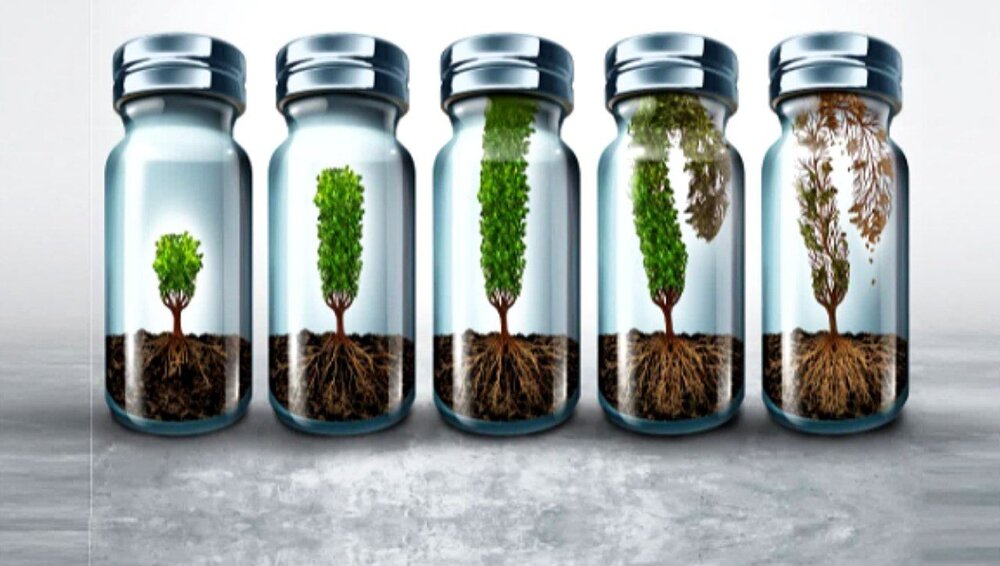 فرهنگ‌سازی یا کار فرهنگی؟ تفاوتی که آینده را می‌سازد  