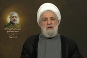 الشيخ نعيم قاسم: إذا اختارت إسرائيل العدوان الواسع على لبنان فإن الصواريخ ستسقط عليها