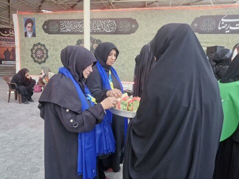 تصاویر/ استمرار تردد زوار کشورهای آذربایجان و گرجستان از مرز بازرگان