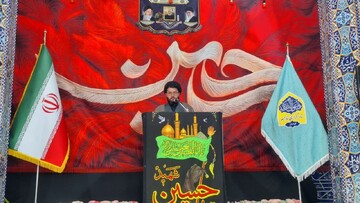 اربعین حسینی موجب جاودانگی و ماندگاری قیام کربلا شد+تصاویر