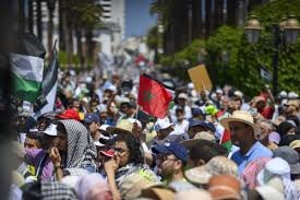 Moroccan Medical Staff Stage Hunger Strike in Solidarity with Gaza