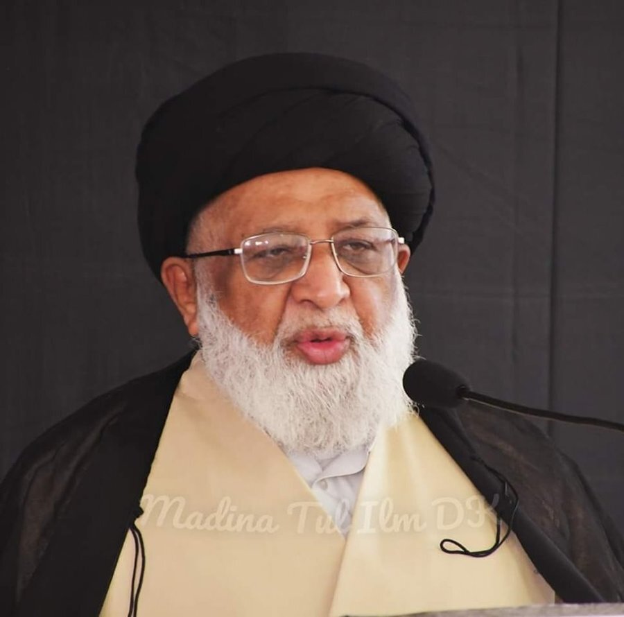 Pakistani Scholar Urges Government to Reopen Land Routes or Subsidize Air Travel for Arbaeen Pilgrims