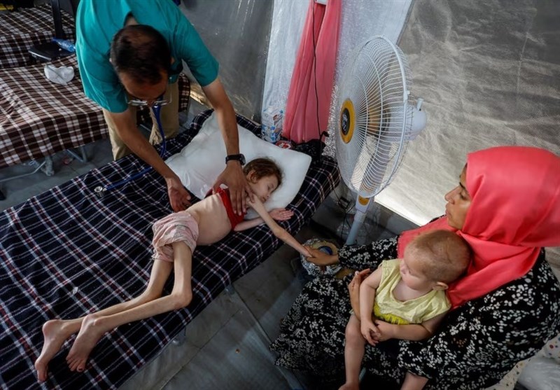 مقال | أطفال غزة يموتون جوعًا.. بينما مصر والأردن وتركيا تدعم الاقتصاد الإسرائيلي!