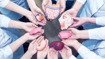 اهدای همزمان اعضای بدن دو بیمار مرگ مغزی در یاسوج