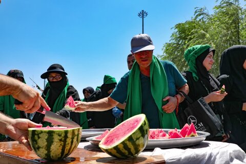 تصاویر/ تردد زوار از مرز تمرچین