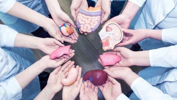 سیزدهمین اهدای عضو سال جاری در یزد به ثبت رسید