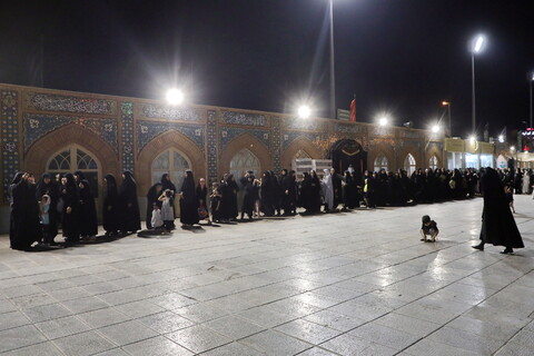 تصاویر/ پذیرایی خادمان حرم کریمه اهل بیت(ع) از زوار اربعین