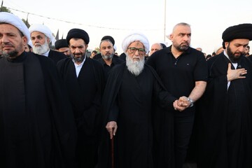 تصاویر/ آیت الله العظمی بشیر نجفی در پیاده‌روی به سوی کربلای معلی در میان زائران امام حسین (ع)