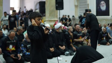 تصاویر / ادامه خدمت رسانی موکب سیدالشهدا علیه الاسلام اداره کل اوقاف استان قزوین در نجف اشرف