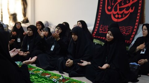 تصاویر / ادامه خدمت رسانی موکب سیدالشهدا علیه الاسلام اداره کل اوقاف استان قزوین در نجف اشرف