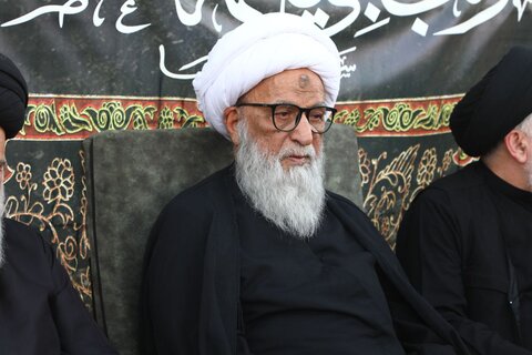 المرجع النجفي يشارك في المسير نحو كربلاء المقدسة مع زوار الإمام الحسين (ع)
