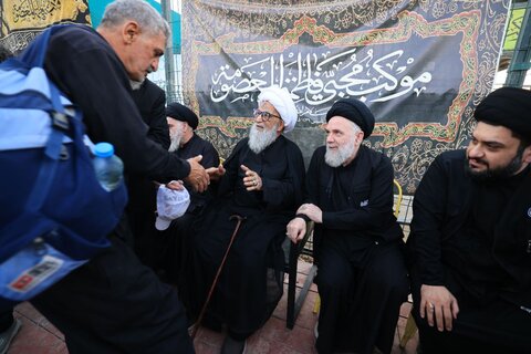 آیت الله العظمی بشیر نجفی در پیاده‌روی به سوی کربلای معلی در میان زائران امام حسین (ع)