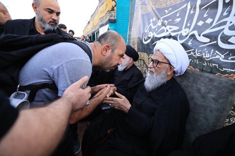 آیت الله العظمی بشیر نجفی در پیاده‌روی به سوی کربلای معلی در میان زائران امام حسین (ع)