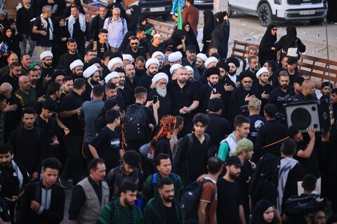 آیت الله العظمی بشیر نجفی در پیاده‌روی به سوی کربلای معلی در میان زائران امام حسین (ع)