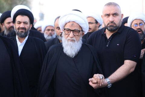 آیت الله العظمی بشیر نجفی در پیاده‌روی به سوی کربلای معلی در میان زائران امام حسین (ع)
