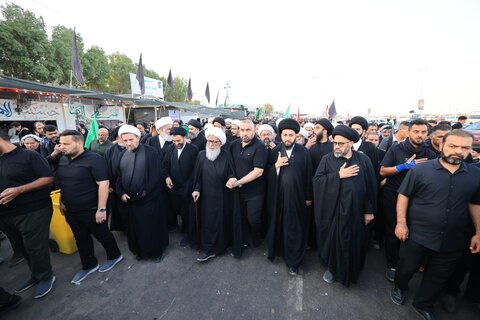 آیت الله العظمی بشیر نجفی در پیاده‌روی به سوی کربلای معلی در میان زائران امام حسین (ع)