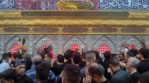 تصاویر/ کربلای معلی در آستانه اربعین حسینی