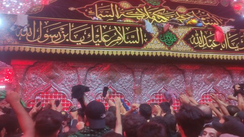 تصاویر/ کربلای معلی در آستانه اربعین حسینی