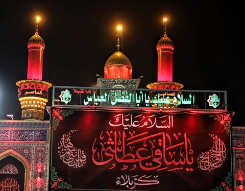 تصاویر/بین الحرمین «بهشت عشاق الحسین »