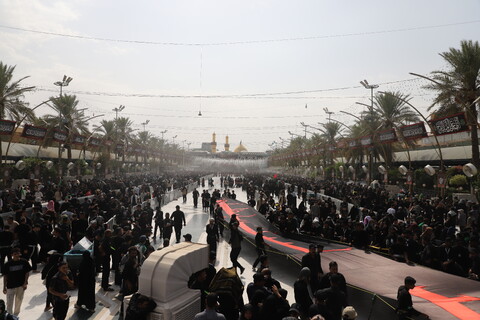 تصاویر/بین الحرمین «بهشت عشاق الحسین »