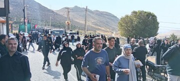 پیاده‌روی باشکوه جاماندگان اربعین در سراسر استان بوشهر برگزار شد