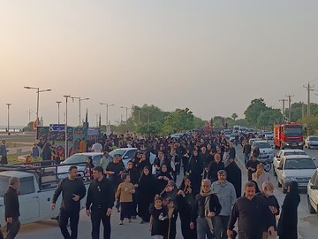 فیلم| پیاده روی جاماندگان اربعین در بوشهر