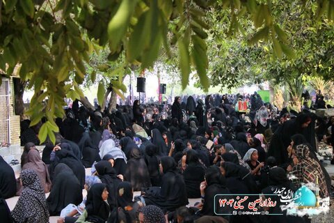 تصاویر /پیاده روی جاماندگان اربعین حسینی در رودان