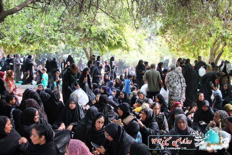 تصاویر /پیاده روی جاماندگان اربعین حسینی در رودان