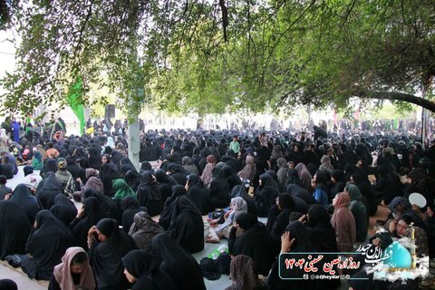 تصاویر /پیاده روی جاماندگان اربعین حسینی در رودان