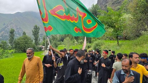 اُوڑی کشمیر: حوزہ علمیہ امام ہادیؑ کے زیر اہتمام میں جلوسِ عزا کا انعقاد