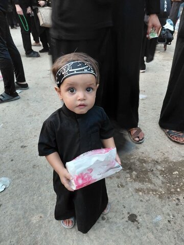 تصاویر/ حال وهوای اربعین حسینی در حرم سید الشهدا وبین الحرمین