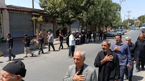 تصاویر/ سوگواری اربعین حسینی در کشاورز
