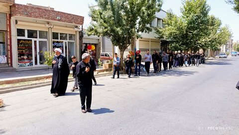 تصاویر/ سوگواری اربعین حسینی در کشاورز